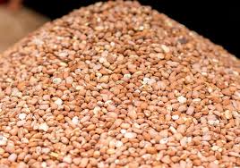 red beans